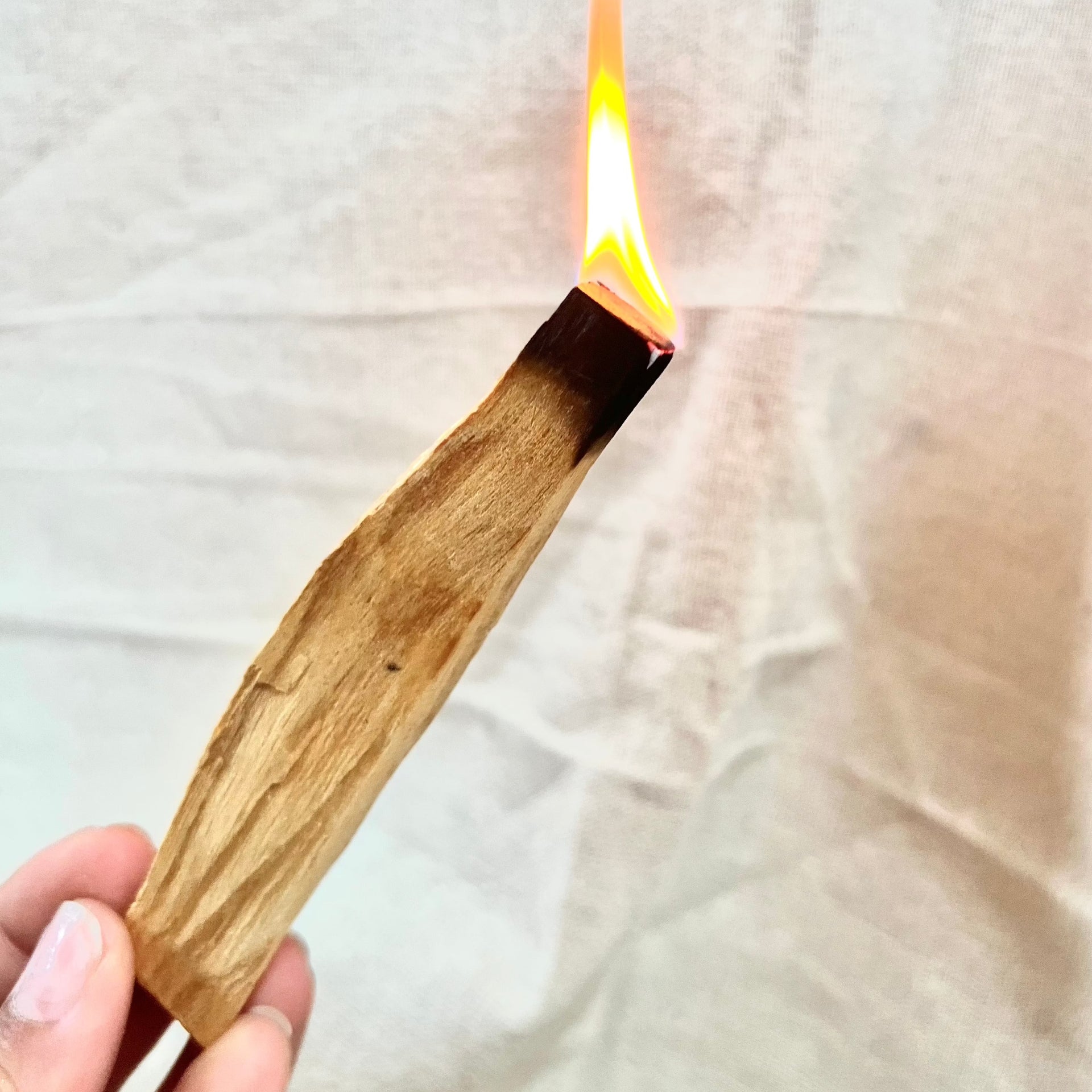 オーガニック・パロサント – Ru and Company